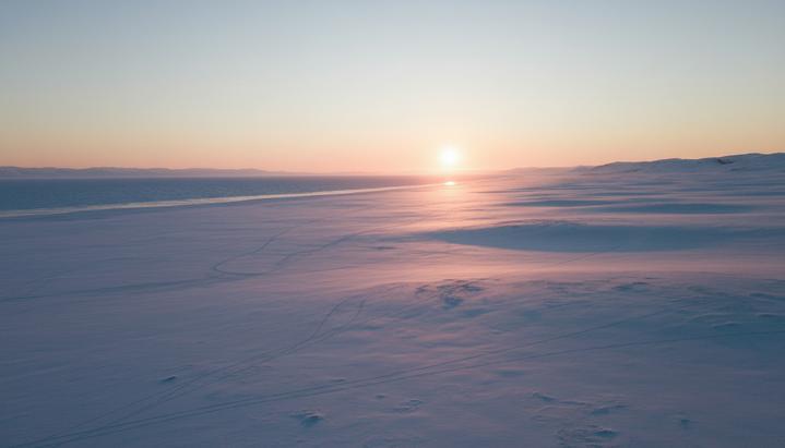 Бескрайняя заснеженная тундра арктического заповедника на Аляске. Прибрежная равнина уходит к замерзшему морю под низким зимним солнцем. На чистом снегу видны следы стада оленей карибу.