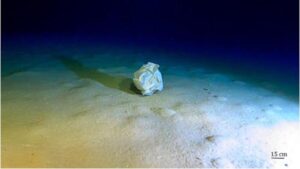 Впадина Калипсо: мусорная бездна на дне Средиземного моря