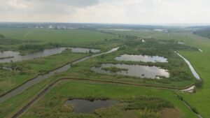 Возрождение торфяников Германии: как спасают природные хранилища углерода