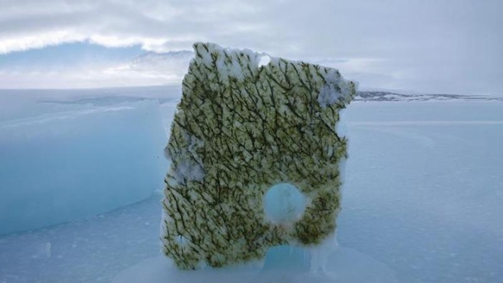 Таяние льдов меняет цвет океана и угрожает арктической жизни