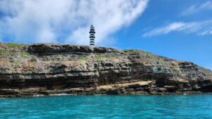 Микропластик найден даже в самых заповедных морских зонах Бразилии