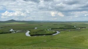 Зеленый рычаг: как растения управляли климатом Земли в прошлом