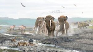 Вымирание мастодонтов поставило под угрозу флору Южной Америки