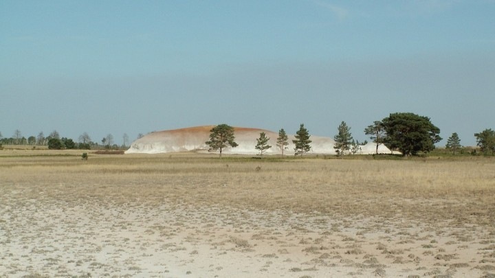 Сарыарка: уникальные степи Казахстана сохраняют свою ценность