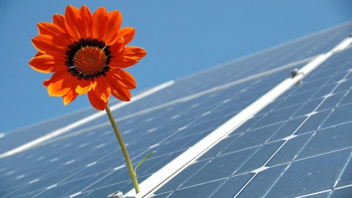 Гибкая энергия: промышленность ЕС ищет выгоду в зеленом переходе