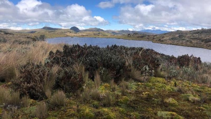 Малые горные пруды в Андах – значимый источник выбросов углерода