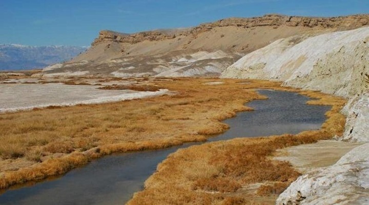 Реки США могут поглощать CO2 вопреки ожиданиям ученых