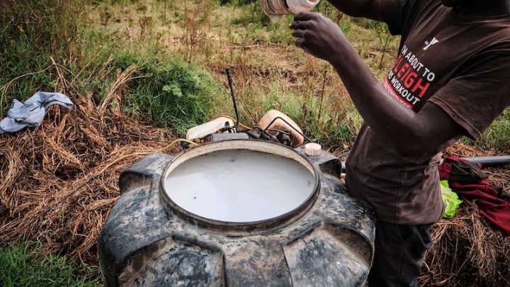 Доклад Swedwatch: бизнес Евросоюза отравляет фермеров за рубежом