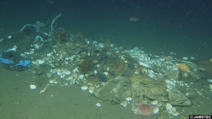 Глубины океана превращаются в свалку: эксперты призывают к глобальным мерам