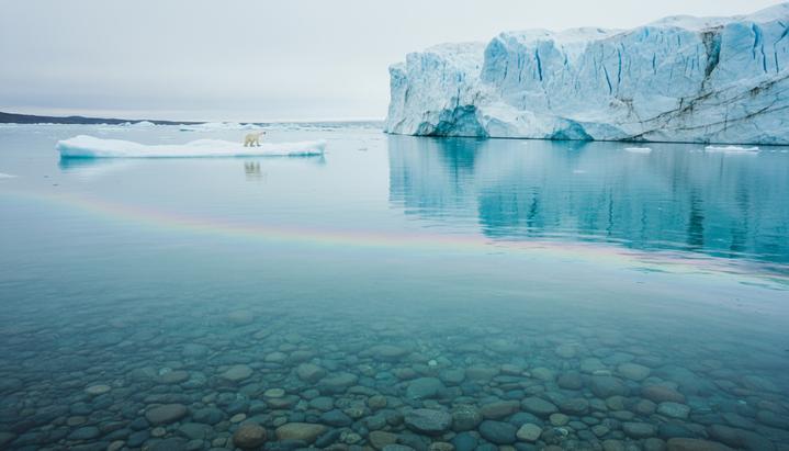 Вечные химикаты: тихая угроза в глубинах океана
