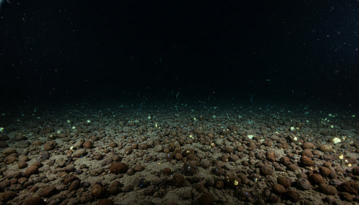 Битва за дно океана: США готовятся к глубоководной добыче вопреки рискам