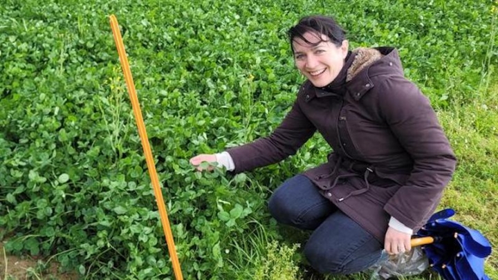 Биоразнообразие пастбищ повышает урожайность и устойчивость к климату