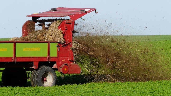 Совмещение навоза и удобрений повышает плодородие почвы и урожайность
