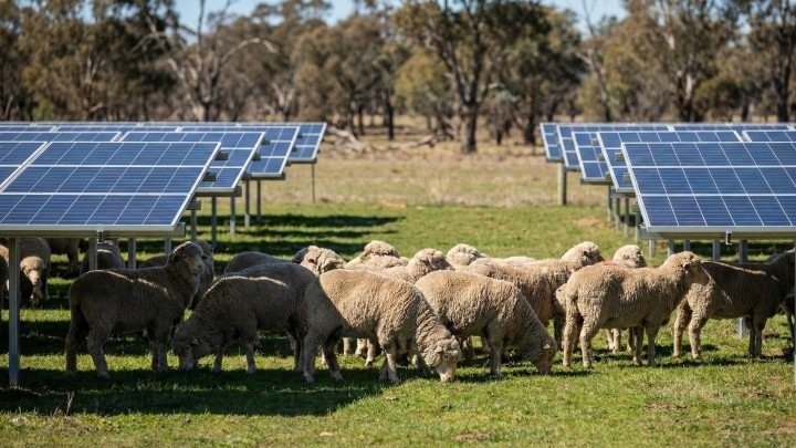 Умные карты помогут спасти природу Австралии при переходе на зеленую энергию
