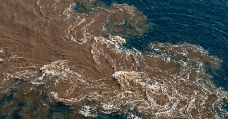 Вулканы Камчатки повышают продуктивность океана в двадцать раз