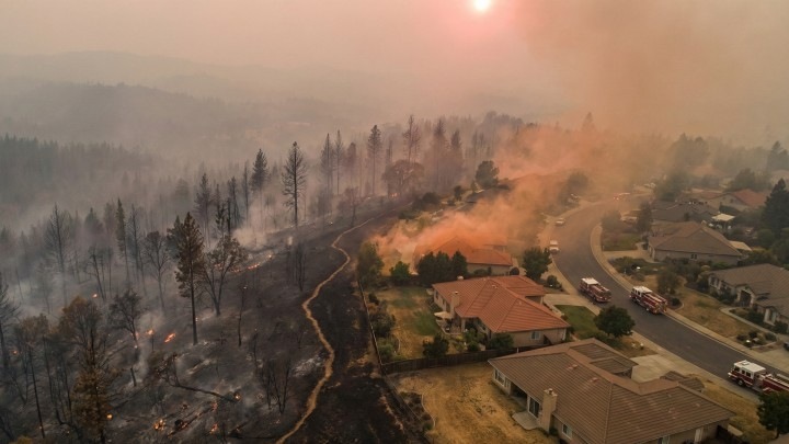 Климатическая петля: как лесные пожары ускоряют потепление и разрушают экономику