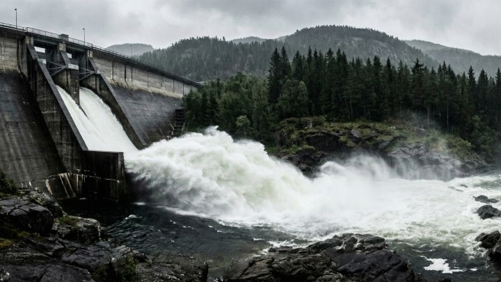 Темная сторона гидроэнергетики: перенасыщенная газами вода губит рыбу