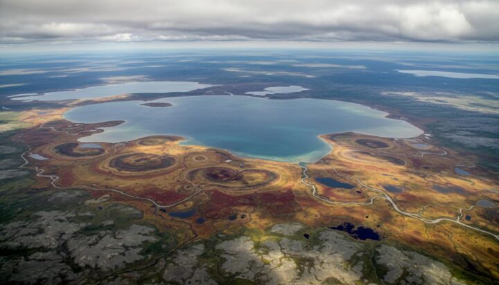 Нефтяная аренда на Аляске: судьба арктического заповедника