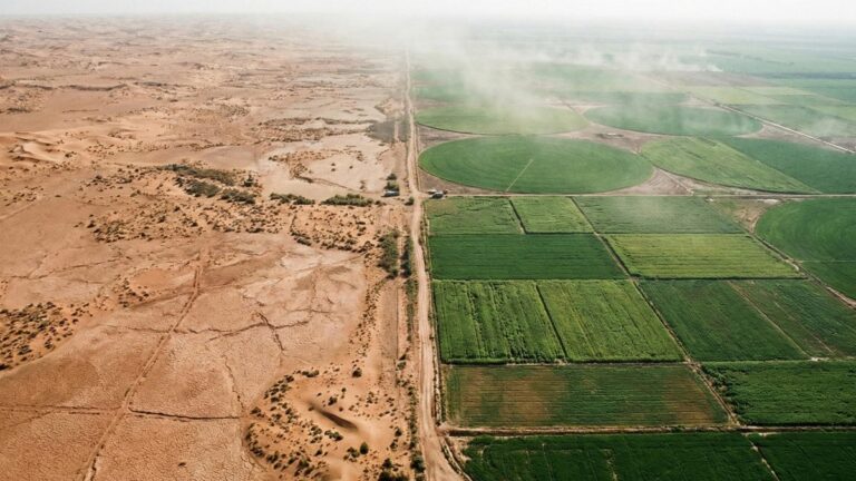 Озеленение Китая истощает водные ресурсы страны