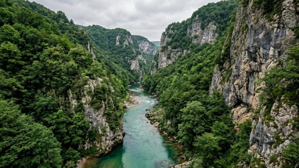 Будущее Верхней Дрины: гидроэнергетика против уникальной природы Балкан
