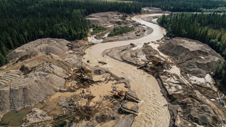 Рекультивация авансом: в России планируют изменить правила работы старателей