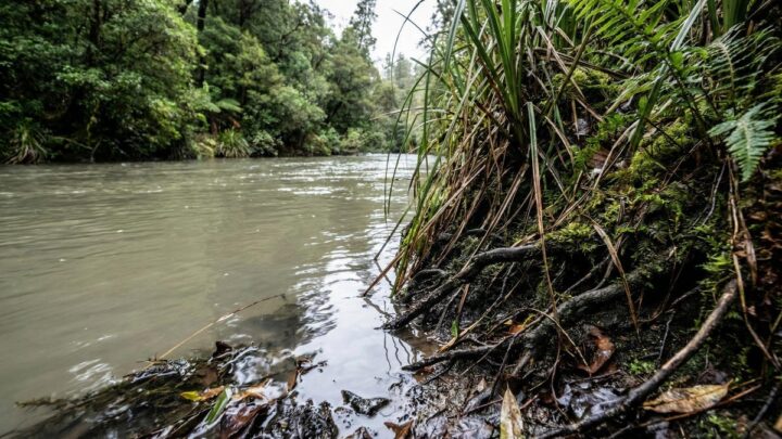Глобальная карта пресноводных экосистем поможет в борьбе с изменением климата