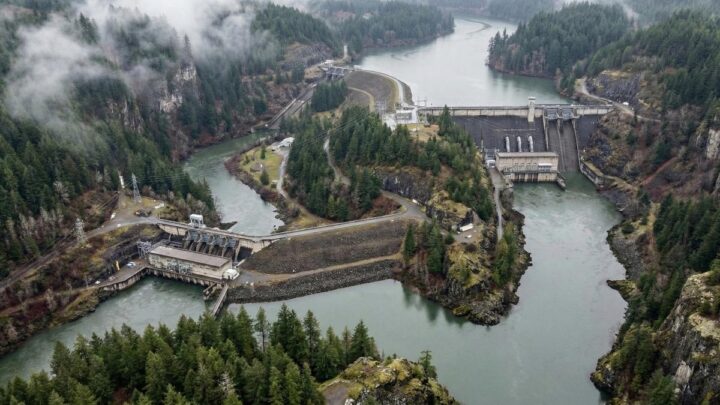 Суд в Орегоне решит судьбу популяций лосося и восьми американских ГЭС