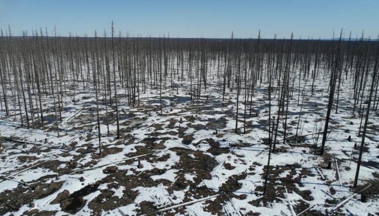 Огонь и лед: арктические пожары и их неожиданное влияние на климат