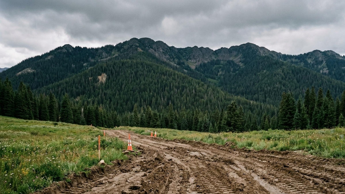 Экоактивисты выступают против строительства новой ВЭС в Карпатах