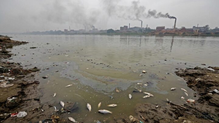Живые реки Бангладеш: экоактивисты требуют наказать химзавод