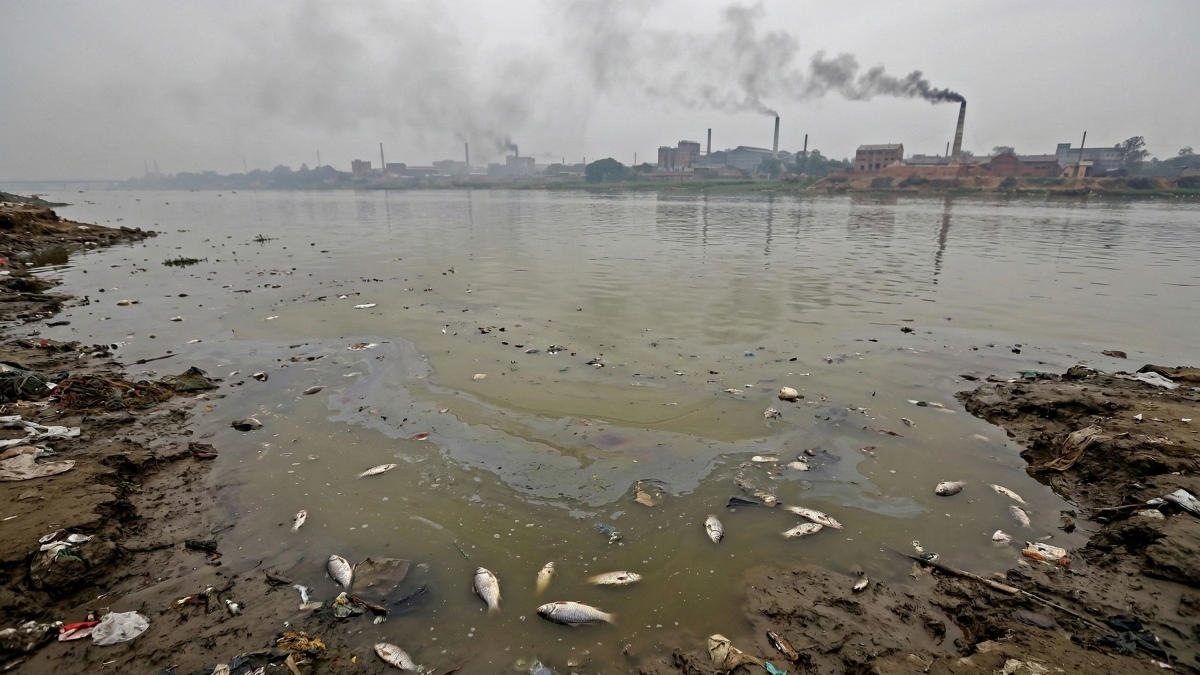 Живые реки Бангладеш: экоактивисты требуют наказать химзавод