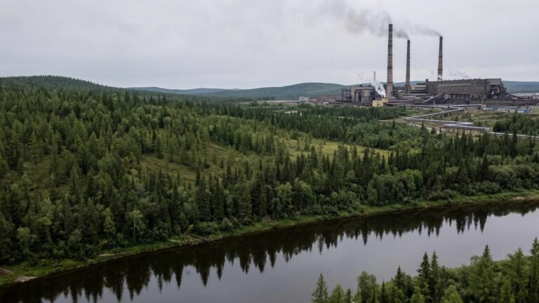 Презумпция виновности: как юристы предлагают защищать природу Сибири