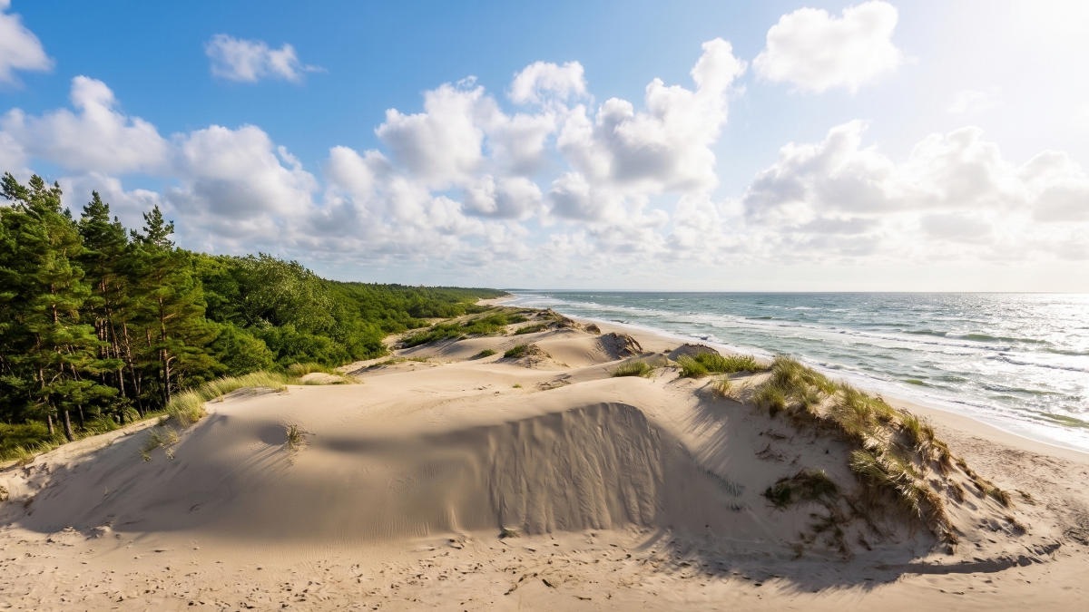 Бетон вместо птиц: как застраивают Куршскую косу &ndash; всемирное наследие ЮНЕСКО